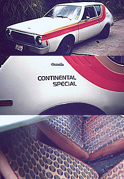 GIF image